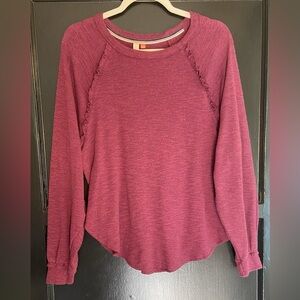 Pilcro for Anthropologie Berry Long Sleeve Tee.